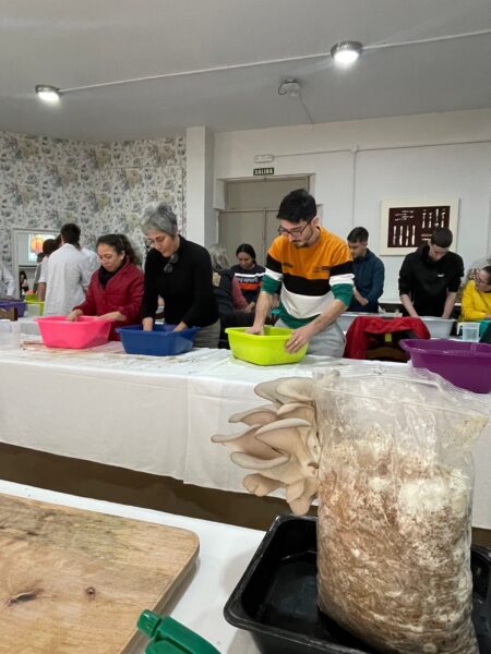 #SANROQUE Alumnado de la Escuela de Hostelería aprende a cultivar setas comestibles de la mano de Medio Ambiente