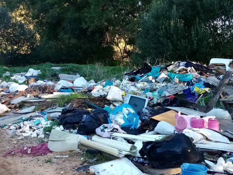 #MEDIOAMBIENTE Ecologistas piden una urgente intervención en las estribaciones de Sierra Carbonera