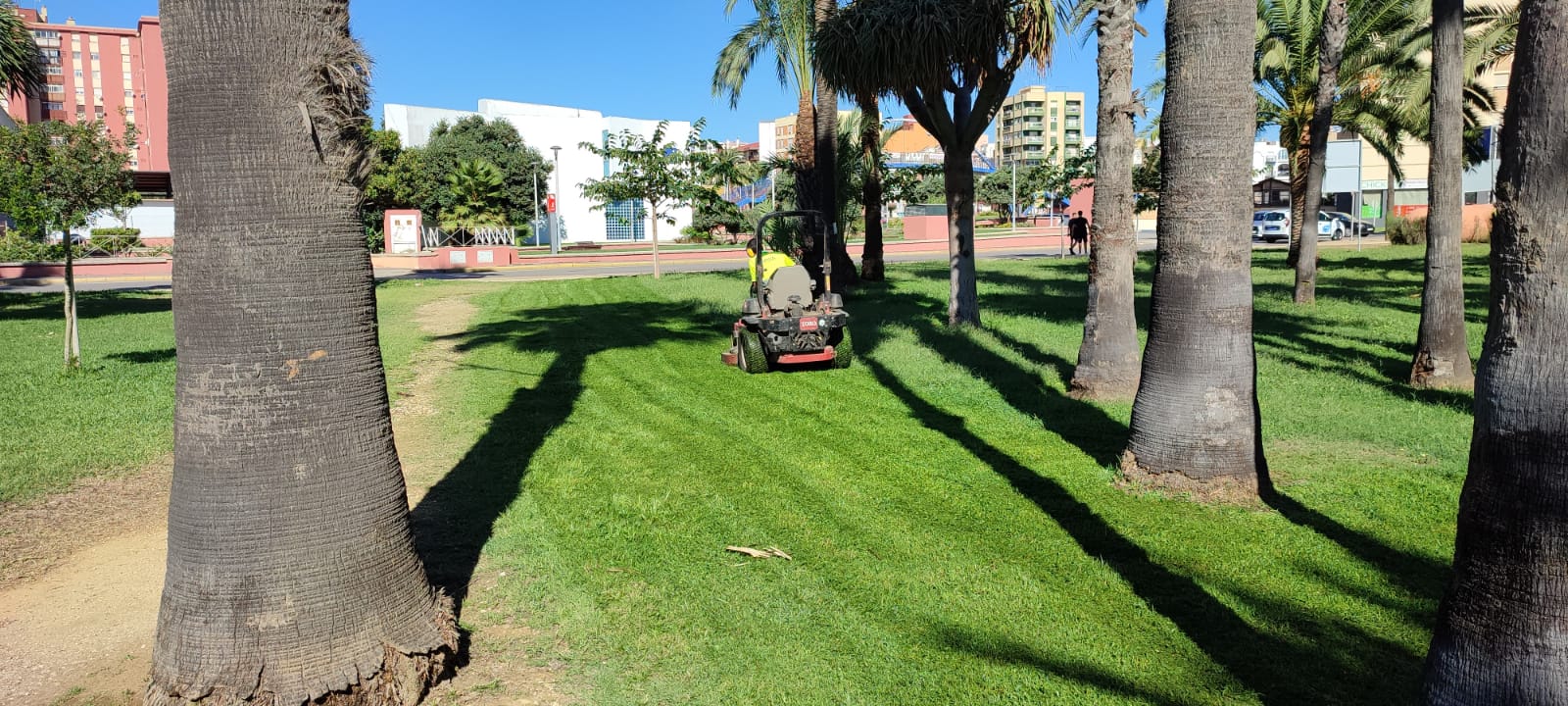La mesa de contratación municipal propone a la empresa Oluz para la redacción del proyecto ‘Reinterpretando el parque Princesa Sofía’