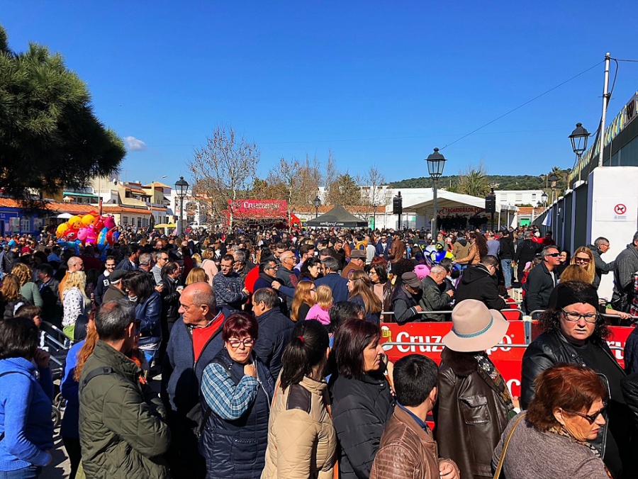 #LOSBARRIOS La XXXII Tagarninada Popular, el domingo 18 de febrero