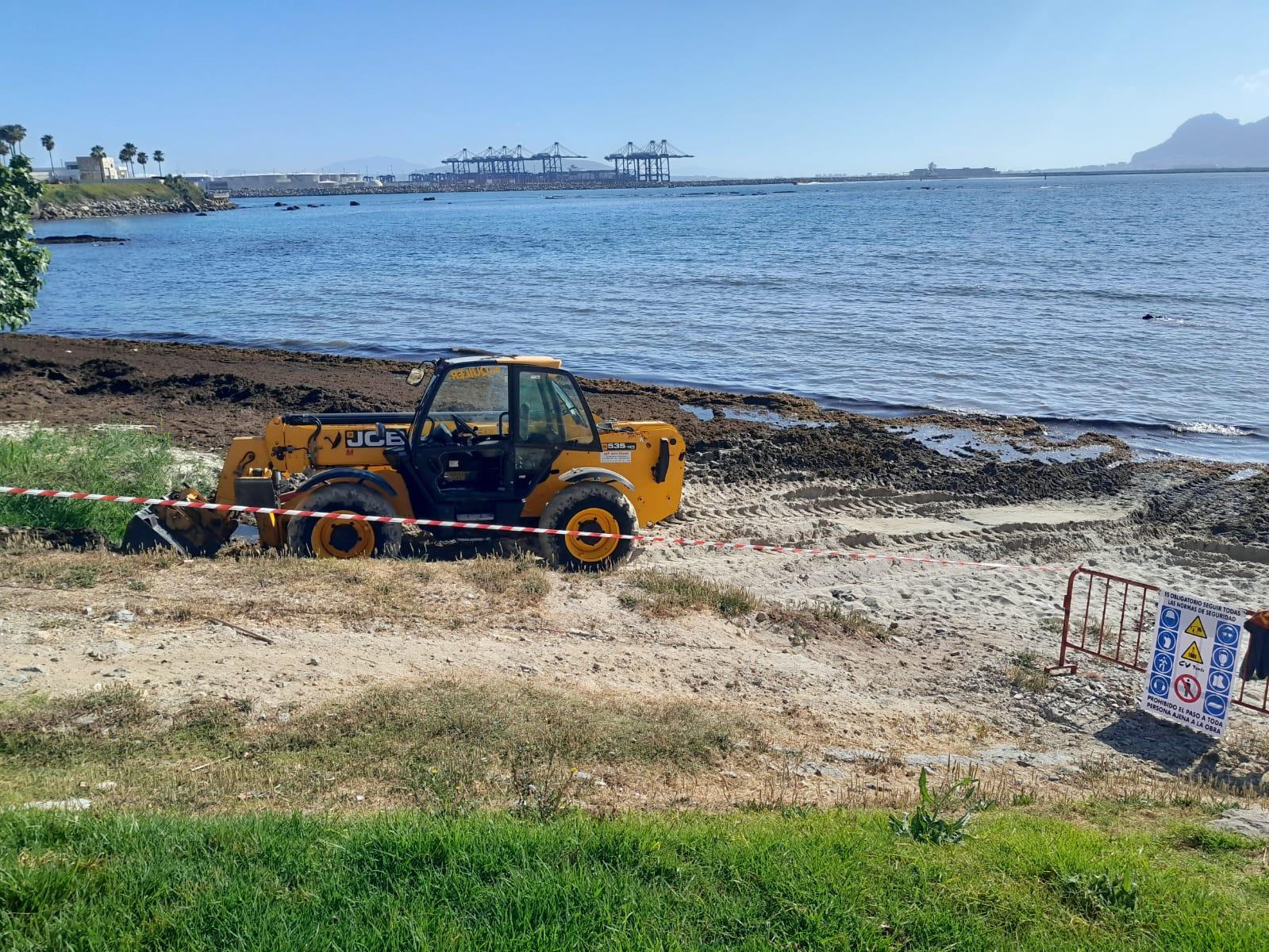 #ALGECIRAS Se llevan a cabo los trabajos de retirada de algas en la playa del Chinarral