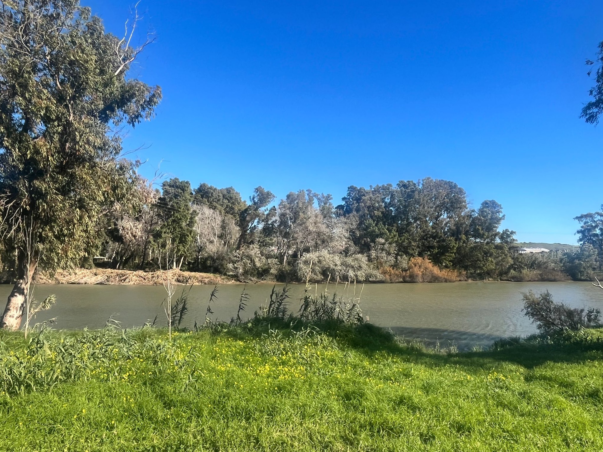 El alcalde confía en iniciar pronto la construcción de la pasarela del río Guadiaro