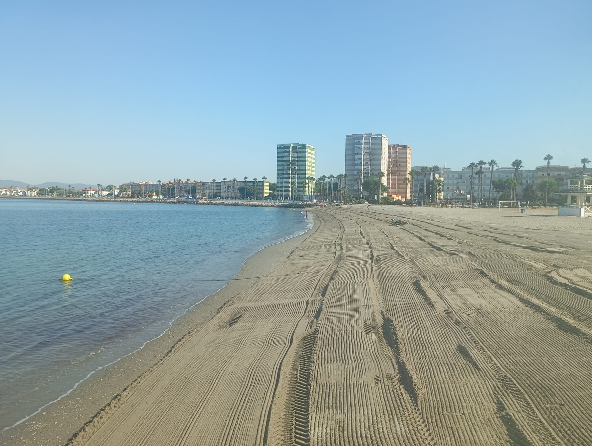 El Ayuntamiento de La Línea de la Concepción acomete una intensa campaña de limpieza de algas en su litoral
